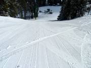 Jackelope downhill run