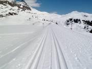 Cross-country skiing in Bettmeralp around Lake Bettmersee