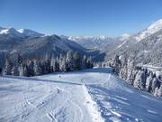 Intermediate slope at Rastkopf