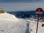 Panoramica downhill run