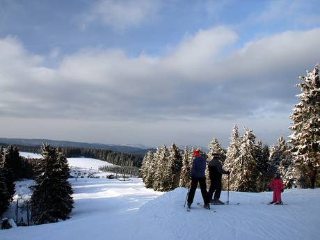 Rothaar Mountains (Rothaargebirge): Test reports from ski resorts – Test report Sahnehang