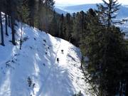 Tip for children  - Tobogganing on the RudiRun