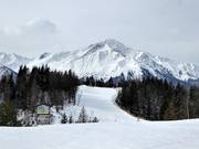Slopes at Brennerköpfl