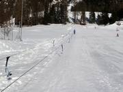 Ponylift Pontresina 1 - Rope tow/baby lift with low rope tow