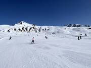 Easy slope at the Albeinalifts