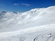 Freeride area at Kari Traa-trekket