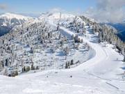 View of the Forcella-Bombasel slope