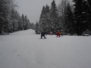 After a short time, the little ones are already skiing on their own.