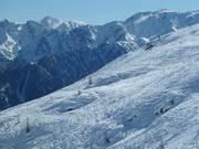 Freeride area at Thurntaler