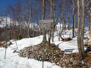 Slope signage in the Vogel ski resort