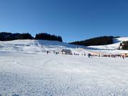 Easy and wide slopes dominate on the Postalm