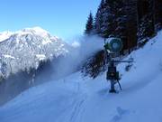 Snowmaking on the valley runs