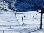 Helgatuntrekket - T-bar