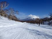 Easy slope Silver Dream (Hanazono)