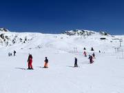 Slopes above the mid-station at Madrisa Park