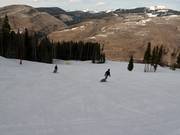 Slopes on the Front Side towards Vail