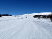 Slope Havsdals No. 47 (Havsdalen)