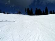Groomed slope at Mount Seymour