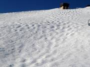 Mogul slope in the ski area