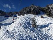 Powder slopes at the Milchhäuslexpress