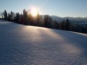 Fresh new snow on the Reiserhang