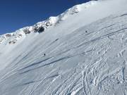 Freeriders at the Gletscher Jet