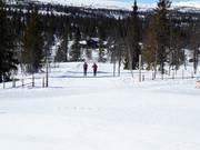 Cross-country trails in Kvitfjell