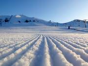Very good slope grooming at Dollar Mountain