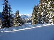 Intermediate slope Langried