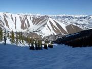Mogul slope Upper Flying Squirrel