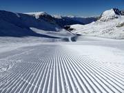 Perfectly groomed slopes in the Meran 2000 ski area