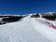 Slope at the Sysendalen drag lift