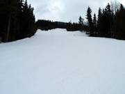 Cannonball downhill run