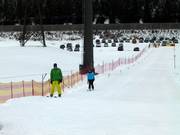 Beginners-Lift Flachauwinkl - Rope tow/baby lift with low rope tow