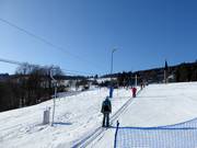 Mieszko II (M2) - J-bar