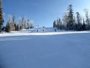 Intermediate slope Malinowa