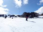 Happy Valley T-Bar - T-bar