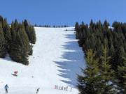 Difficult slope Variante Rainer