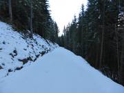 1b: Panorama ski path