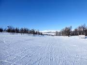 Easy slope in Ramundberget