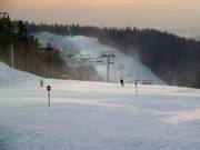 Hohe Reuth downhill run