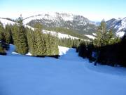 Very difficult Roßkopf run