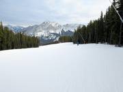 Wide forest run in the Nakiska ski area