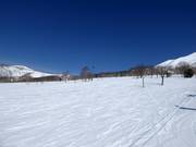 Easy and wide slopes in Annupuri