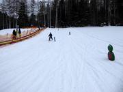 Alternative sports are also offered.