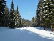 South Descent Ochsenkopf