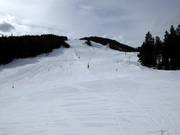 Slopes at the 4-seater chairlift Gschwandtkopf and at the Brunnentallift