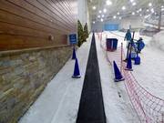 Big Snow Carpet 1 - People mover