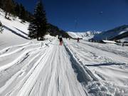 Schneeflucht 2 - T-bar