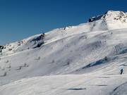 Tracks in the powder snow
